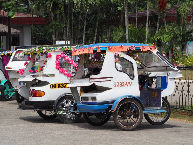 Decorated tricycles