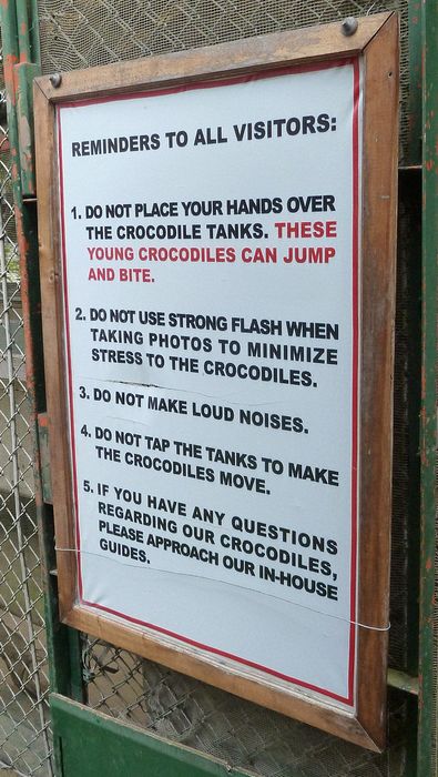 Do not place your hands over the crocodile tanks