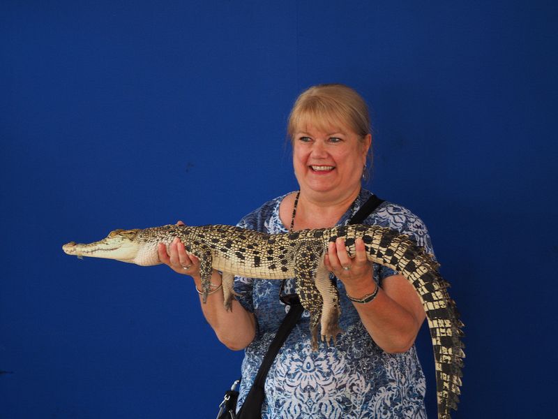 Linda bravely holds a small crocodile