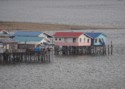 Houses on stilts