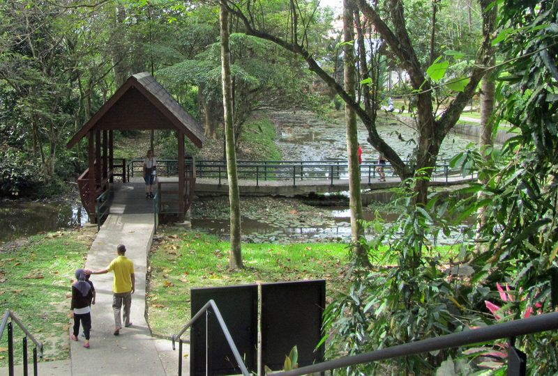 June stands on the covered bridge