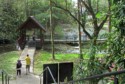 June stands on the covered bridge