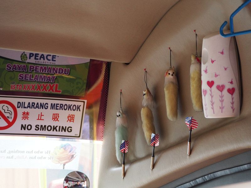 Our tour bus driver has some interesting trinkets