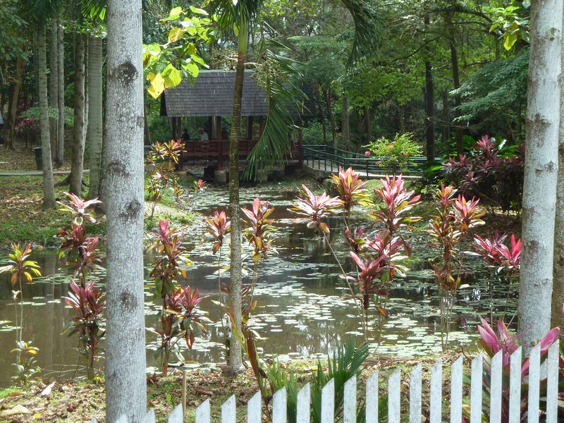 Sandakan WWII POW memorial park--only 6 POWs survived