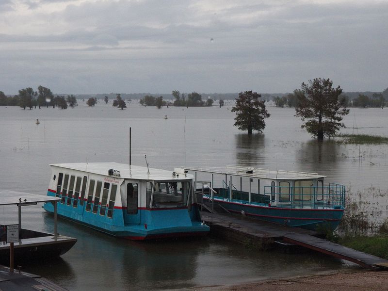 Our tour boats