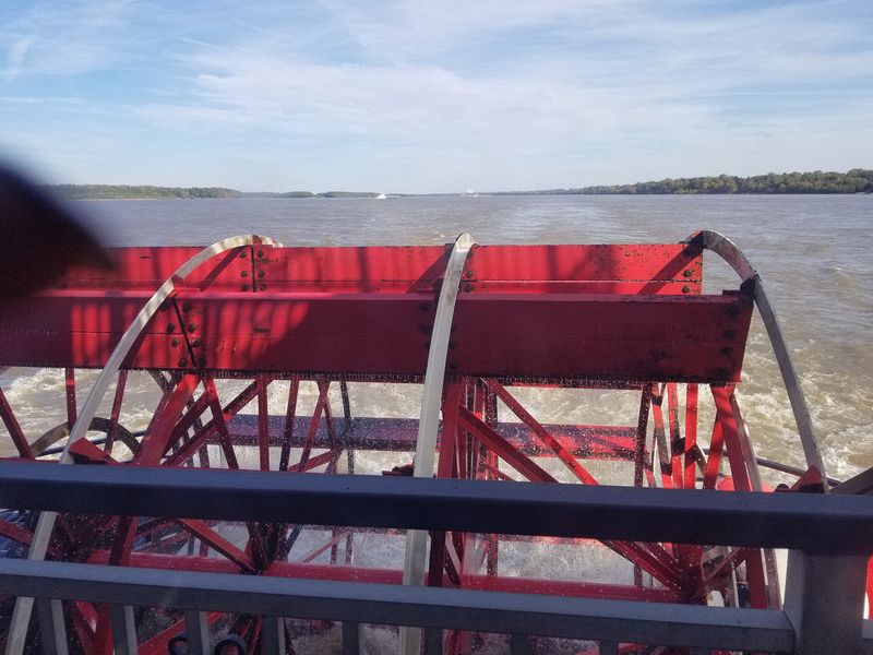 Paddle wheel