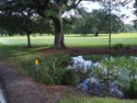 A pretty pond and pasture