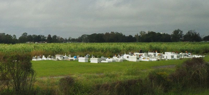 A small above-ground cemetery