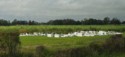 A small above-ground cemetery