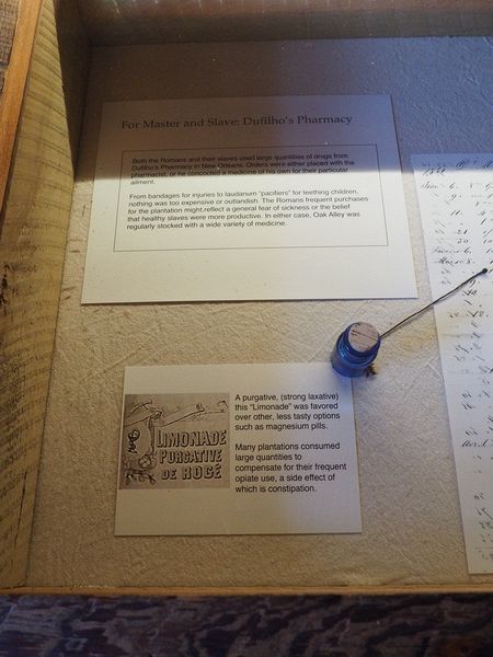 Inventory of the plantation's medicines