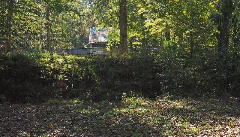 That ditch and earthworks were the Confederate fort (minus the trees)