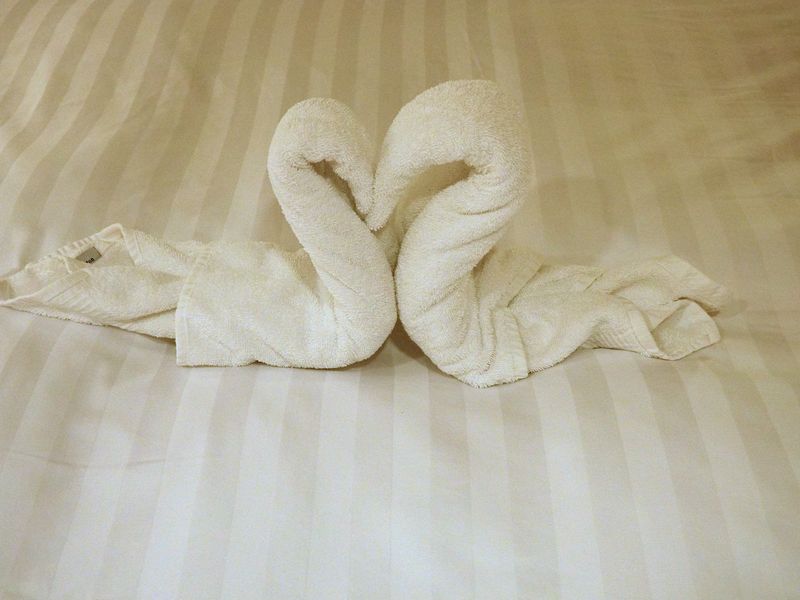 Towel animal 10