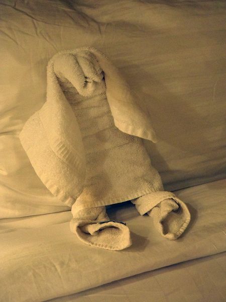 Towel animal 12