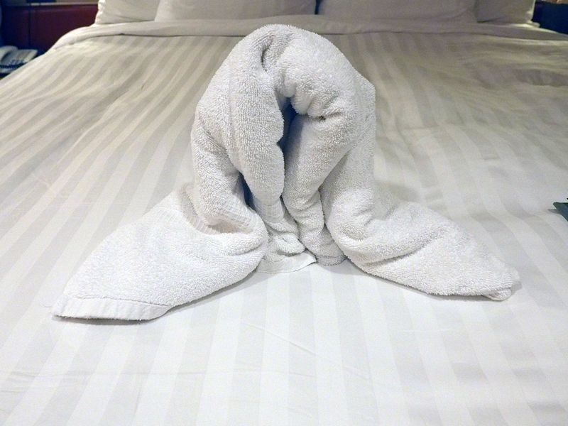 Towel animal 13