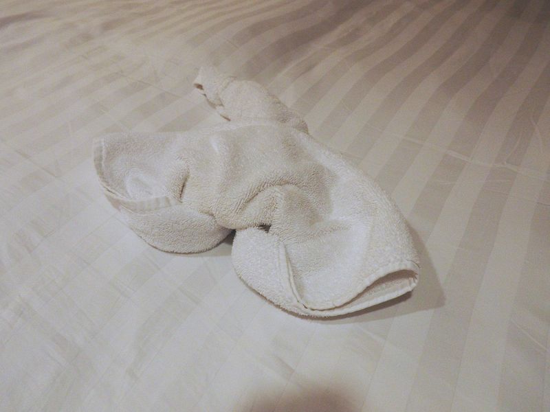 Towel animal 18