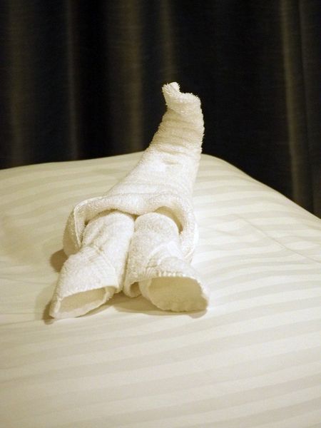 Towel animal 1