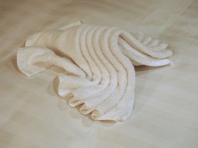 Towel animal 6