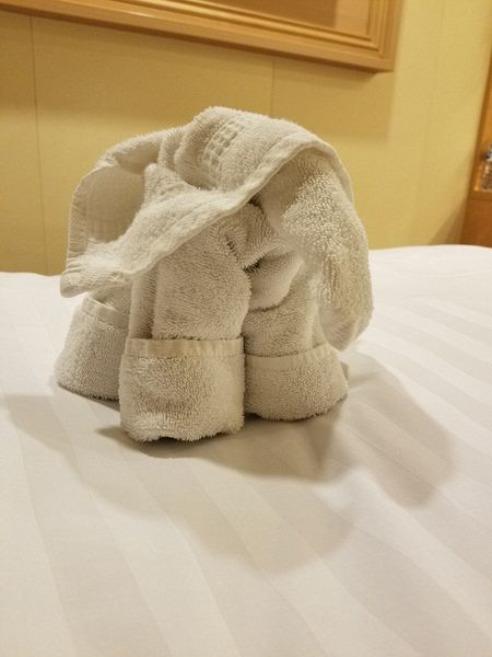 Towel animal 8