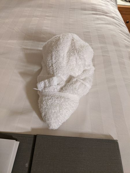 Towel animal 9