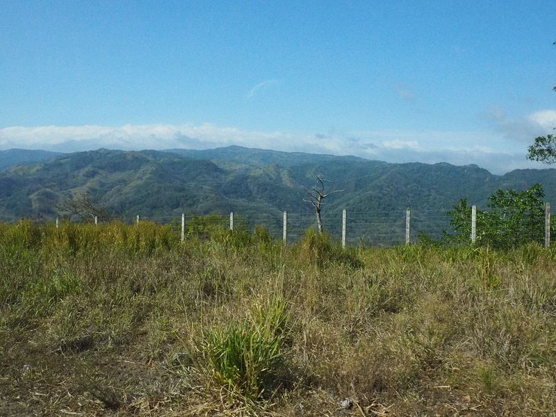 A view of the mountains