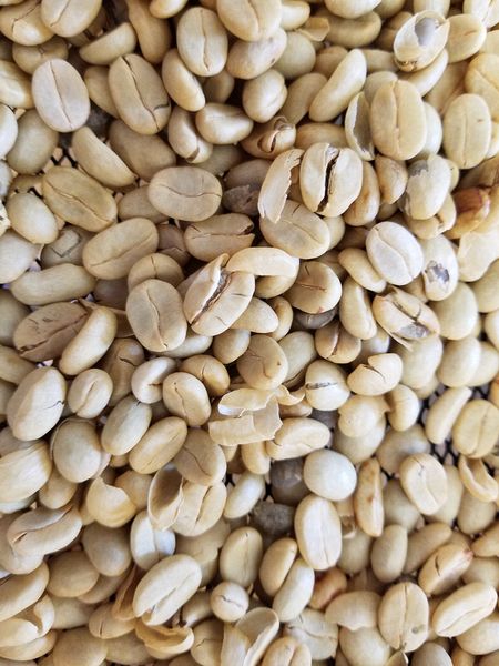 Close-up of dried coffee beans