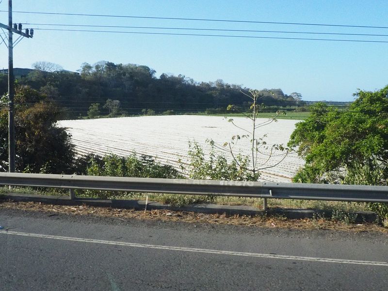 Farm with cloth barriers on the ground