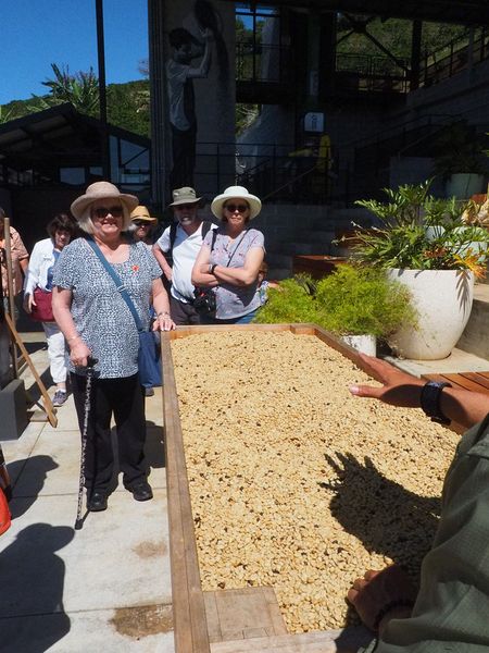 Linda next to dried coffee beans