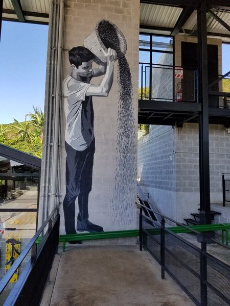 Mural of a coffee picker emptyuing a basket