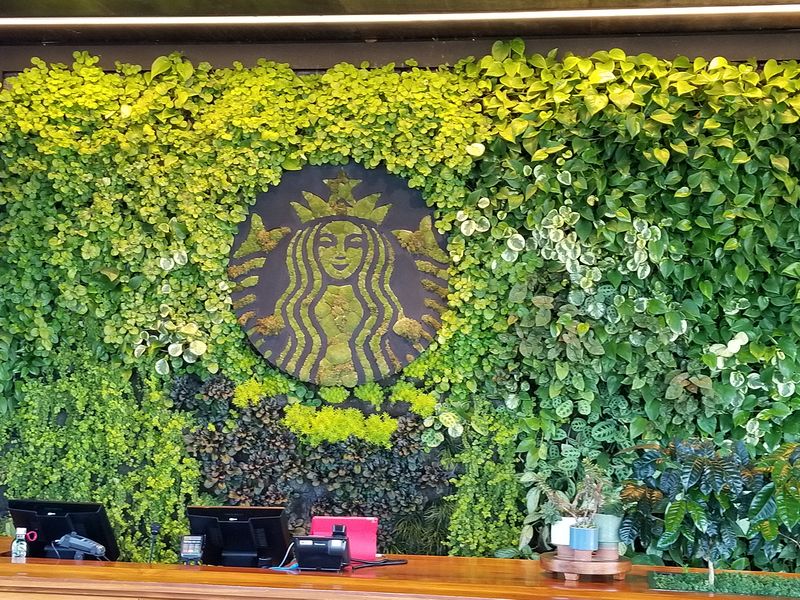 Starbucks logo in flowers