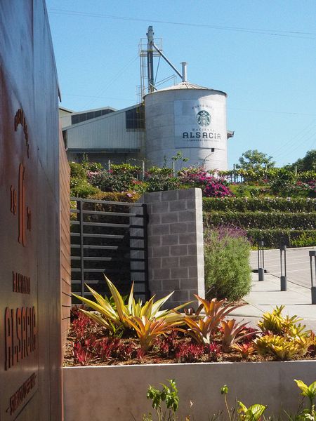 Startbuck's Hacienda Alsacia coffee production facilities