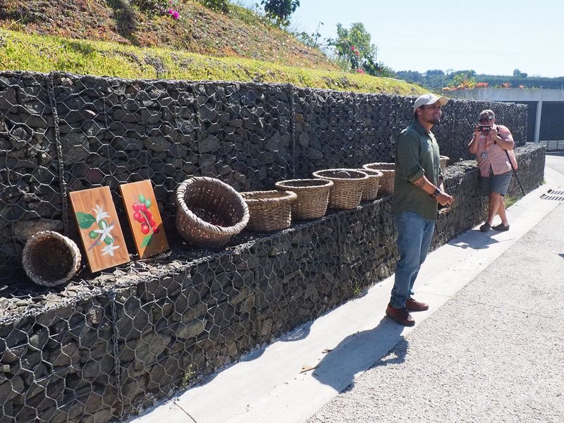 These are the baskets the coffee pickers use