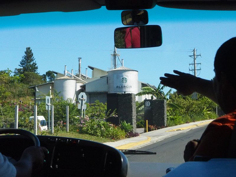 We arrive at Starbuck's only coffee farm