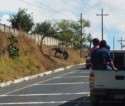 We saw lots of horses grazing at the side fo the road