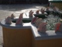 Conch shells decorate the fountain