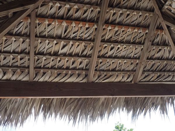 Thatching on a roof
