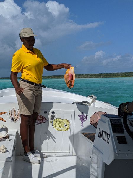 The guide shows a live conch
