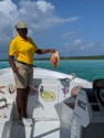The guide shows a live conch