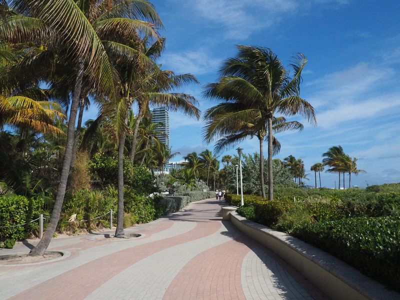 Walkway next to the beach