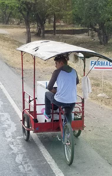 Bicycle powered cart