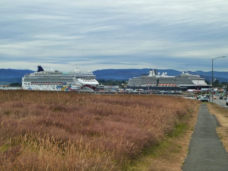 The Westerdam and a Norwegian cruise ship in Victoria