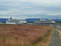 The Westerdam and a Norwegian cruise ship in Victoria