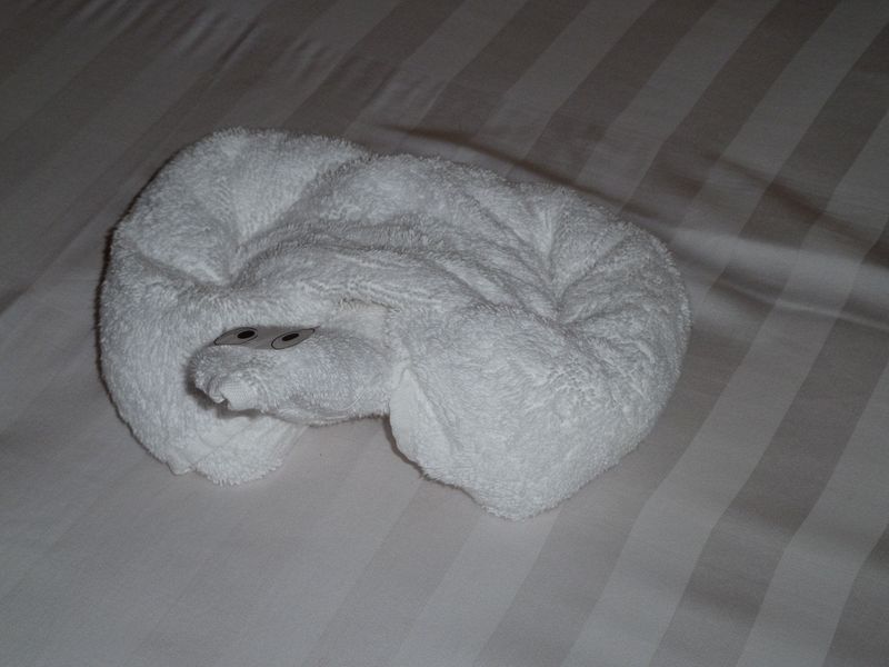 Towel animal 1