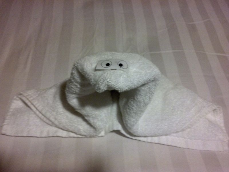 Towel animal 2