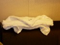 Towel animal 4