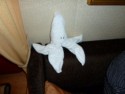 Towel animal 5