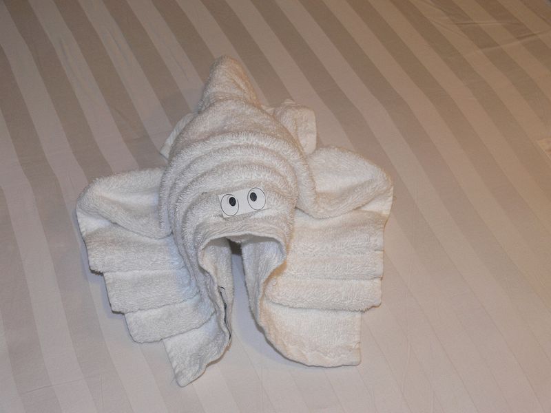 Towel animal 6