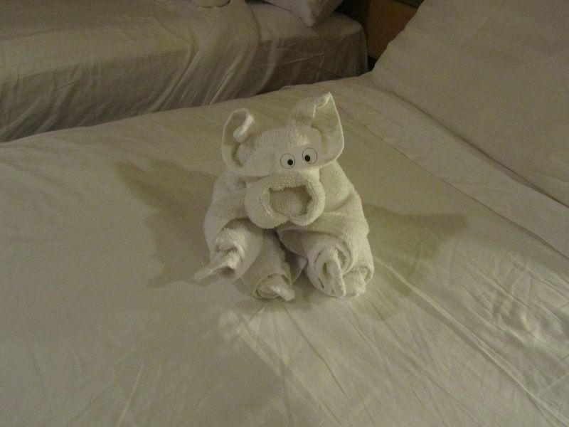 Towel animal 7