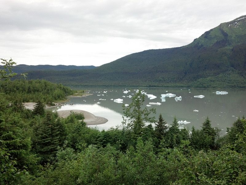 Small icebergs from the Mendenhall Glacier