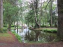 Pond amongst the trees