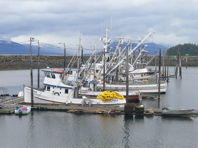 Fishing boats